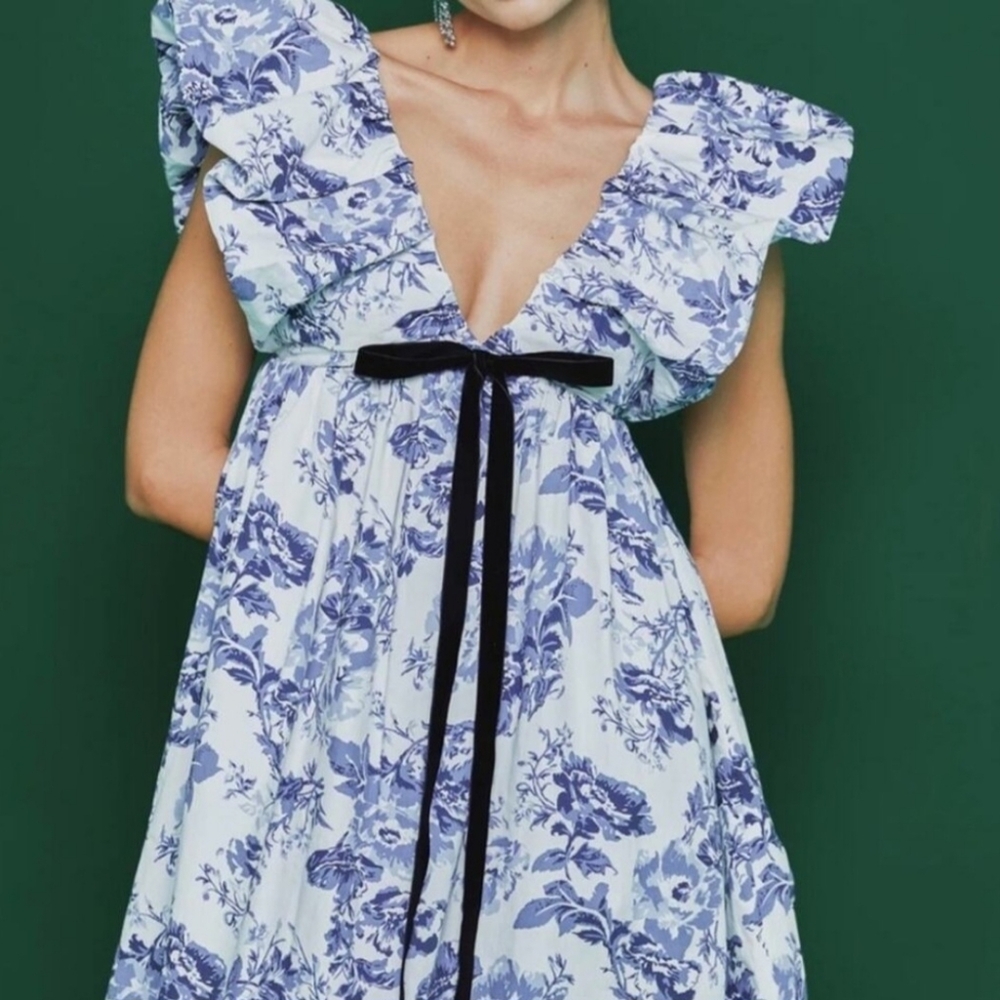 Tuckernuck O.P.T. Didi Mini Dress Blue Floral Toile Bow Babydoll Medium